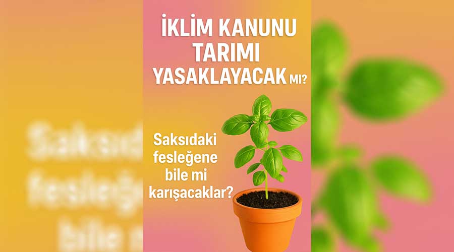 İklim Kanunu Nedir? Maddeleri, Getirdikleri ve Tartışmalar