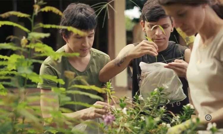 Primos (Cousins) - 2019 Filmi: Özgürlük ve Aşkı Bulma Macerası