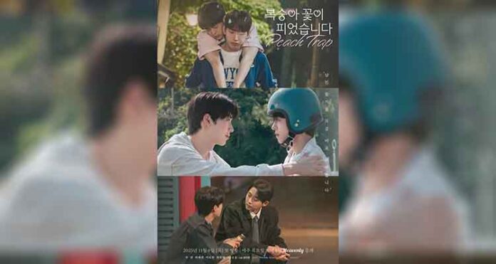 Peach-Trap-bl Peach Trap: A Romance Chaos