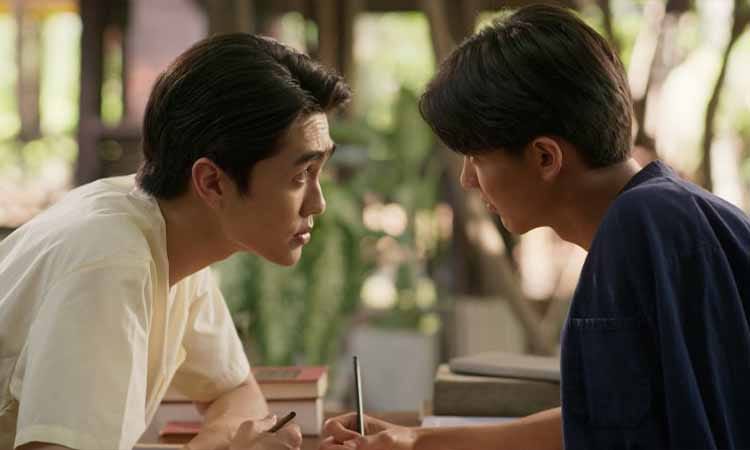 My Stubborn (2025)